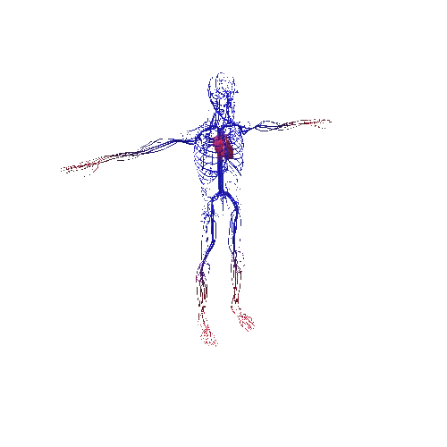 prefab circulatory system